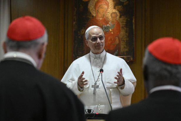 dupa turcia si vaticanul se ofera sa medieze negocierile de pace dintre rusia si ucraina cu ce propunere vine papa leon al xiv lea 68275d880e4fc