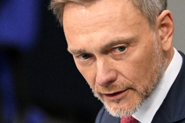 fostul ministru german de finante a ucis cu masina cainele unui producator de film 6819ea8d2d096