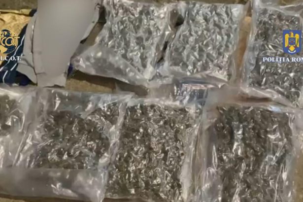 foto un barbat a fost prins in flagrant de procurorii diicot dupa ce a comandat peste 6 kilograme de canabis din spania 681cbb7c1a700