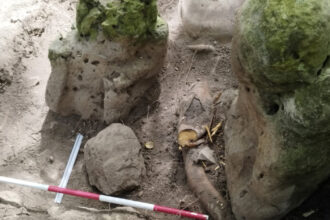 foto un complex mayas vechi de aproape 3 000 de ani cu piramide si canale a fost descoperit in guatemala 683a85d3ec88b