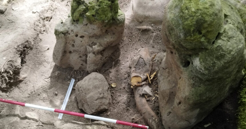 foto un complex mayas vechi de aproape 3 000 de ani cu piramide si canale a fost descoperit in guatemala 683a85d3ec88b