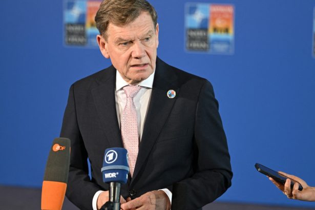 germania isi schimba radical politica seful diplomatiei de la berlin sustine alocarea a 5 din pib pentru aparare 6825e0ace192e