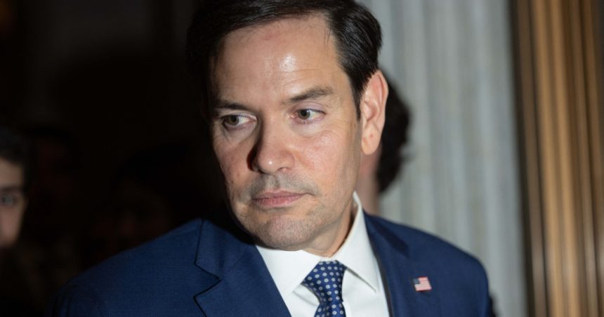 germania replica taioasa pentru sua dupa ce marco rubio a acuzat berlinul de tiranie deghizata 681601c63510d