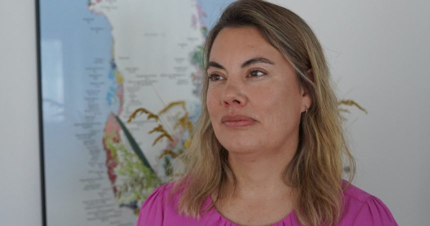 groenlanda ridica miza jocului in arctica china are avantajul daca europa si sua nu investesc masiv in exploatarea resurselor 68368b77501d0