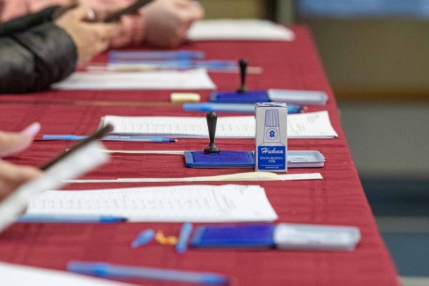 guvernul de la chisinau romanii din r moldova au votat liber prezenta mare arata cat de mult le pasa de viitorul romaniei 682cd87cd07cb