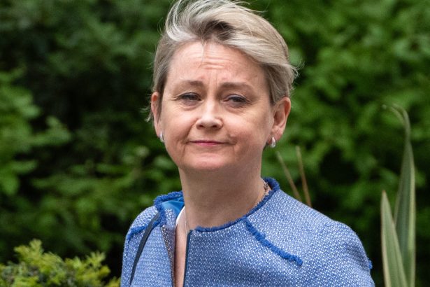 guvernul de la londra cu ochii pe vizele de munca si pe strainii care comit infractiuni strategia britanicilor de a reduce imigratia 6820972574cbe