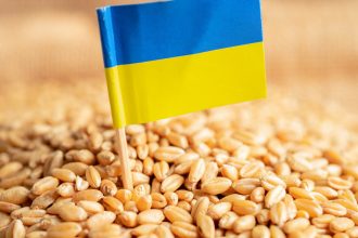 guvernul francez e favorabil restrictionarii importurilor de grau din ucraina in ue 682b2c87d35de