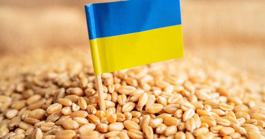 guvernul francez e favorabil restrictionarii importurilor de grau din ucraina in ue 682b2c87d35de
