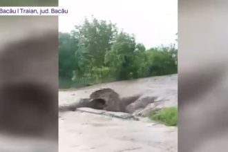 imaginile dezastrului provocat de ploile torentiale cu grindina case masini drumuri si fantani au fost afectate de apele involburate 6833042db6a55