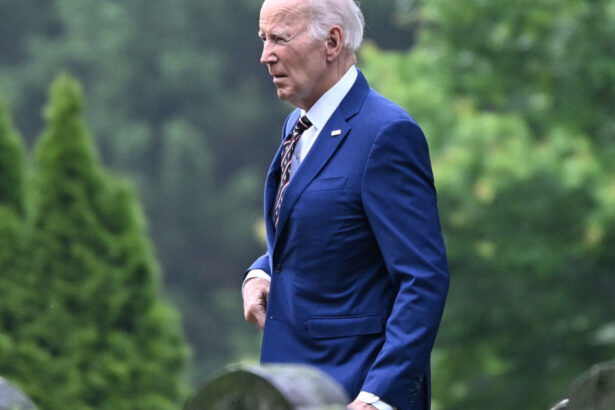 joe biden prima declaratie publica dupa diagnosticul de cancer ca sa fiu sincer este o zi dificila 683ab25c48464