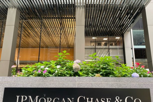 jpmorgan victoria lui nicusor dan reduce riscul politic o scadere a ratingului sub nivelul de investitii mai putin ingrijoratoare 682b297a29430