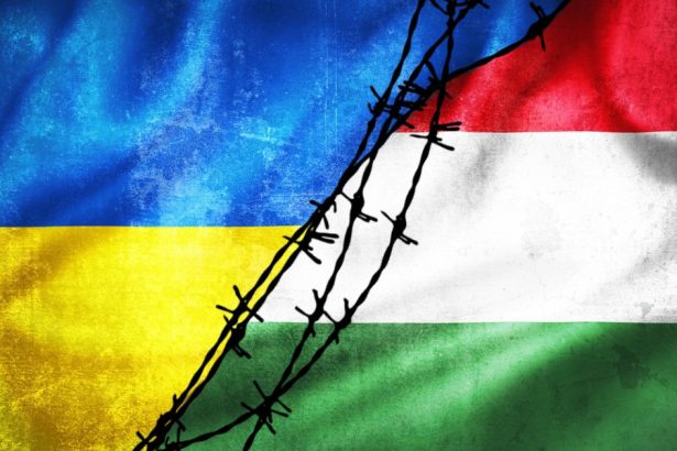 masura luata de ungaria dupa ce ucraina a anuntat ca a arestat doi presupusi spioni ai budapestei 681e0f1aaec75