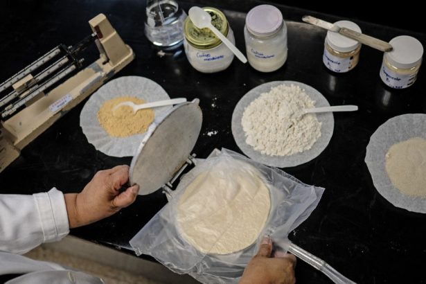 mexicanii experimenteaza cu tortilla de ce vor o varianta care sa reziste mult timp fara a fi pastrata la frigider 6832a0573a84c