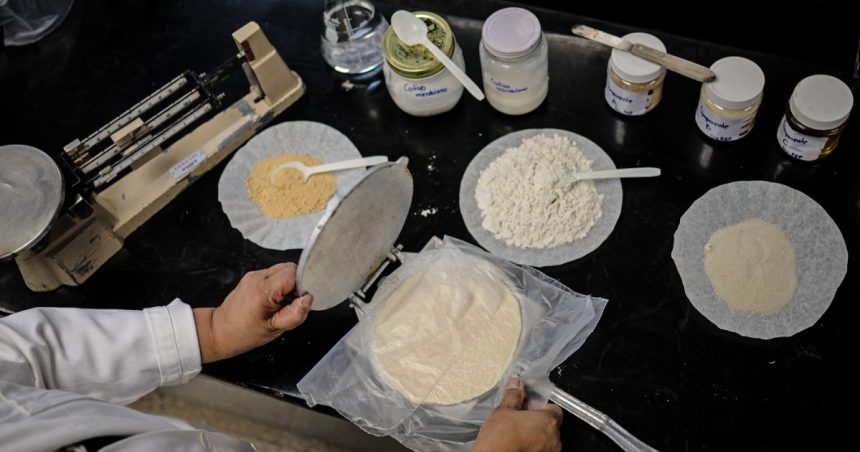 mexicanii experimenteaza cu tortilla de ce vor o varianta care sa reziste mult timp fara a fi pastrata la frigider 6832a0573a84c