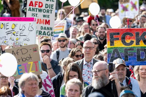 mii de persoane au demonstrat in germania pentru a cere interzicerea afd 68210fdd41d47