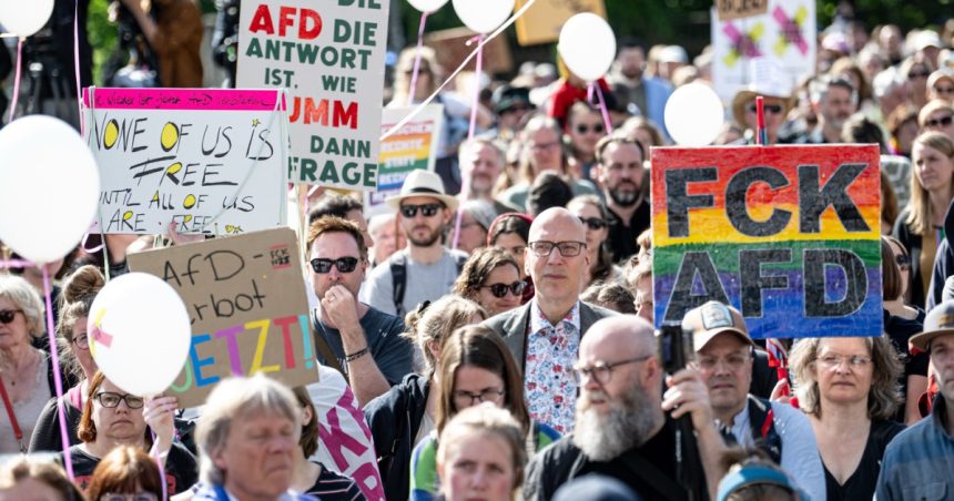mii de persoane au demonstrat in germania pentru a cere interzicerea afd 68210fdd41d47