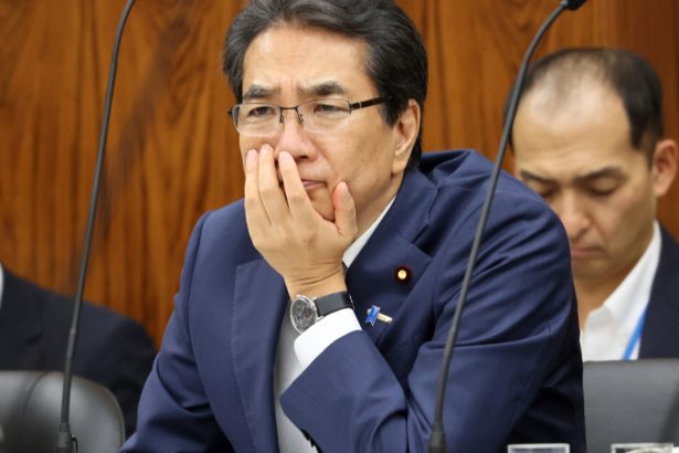 ministrul japonez al agriculturii a demisionat dupa ce a declarat ca nu cumpara orez pentru ca l primeste gratuit 682d699355c69