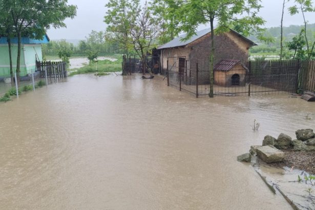 nicusor dan cere autoritatilor sa intervina rapid salvarea vietilor si protejarea bunurilor o prioritate in fata inundatiilor 683860715798d