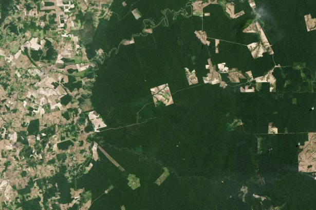 noua gaselnita a cercetatorilor satelit creat pentru a scana padurile pamantului 681838f5870c5