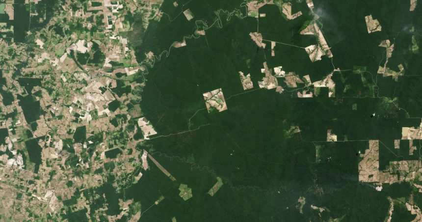 noua gaselnita a cercetatorilor satelit creat pentru a scana padurile pamantului 681838f5870c5
