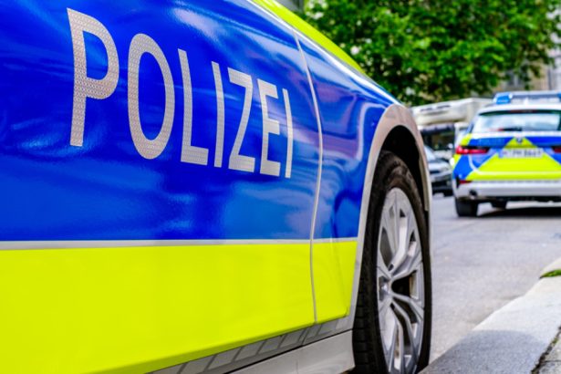 numarul cazurilor de infractiuni motivate politic a explodat in germania in anul 2024 682c64405c303