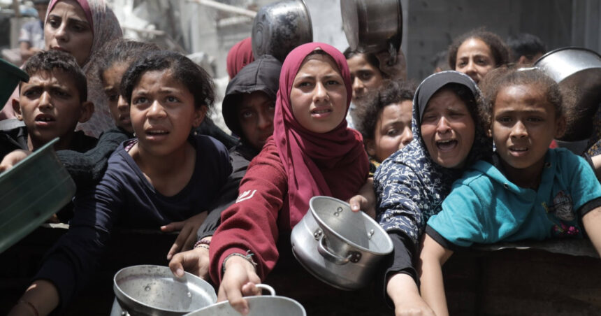 onu israelul a transformat gaza in cel mai infometat loc de pe pamant 68399ca0980ab