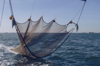 organizatiile de mediu cer masuri urgente pentru protejarea oceanelor pactul ue criticat pentru lipsa de actiuni concrete 68237bc623a2c