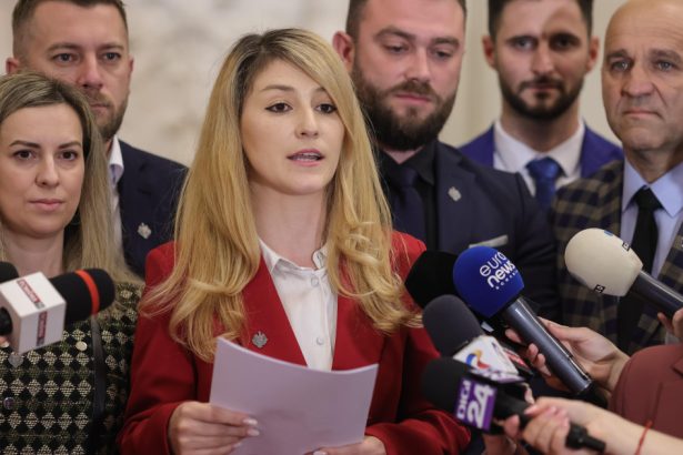 parlamentarii demisionari din pot anunta ca vor promova valorile europene la intalnirea de la cotroceni cu presedintele nicusor dan 68370dc6697ad