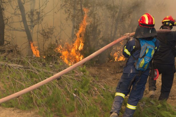 pompierii greci se antreneaza pentru stingerea incendiilor de vegetatie din acest sezon aproape 10 000 de incendii au fost anul trecut 682f28107d077