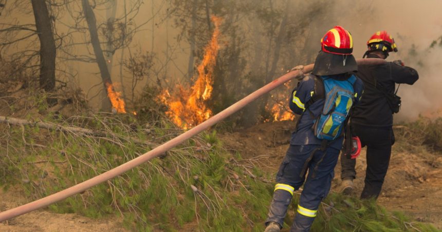 pompierii greci se antreneaza pentru stingerea incendiilor de vegetatie din acest sezon aproape 10 000 de incendii au fost anul trecut 682f28107d077