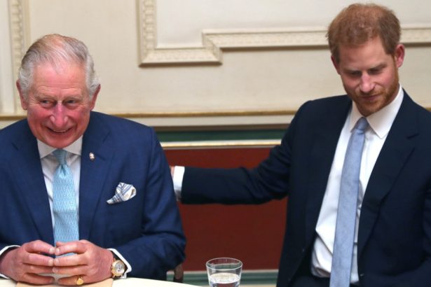 printul harry isi doreste sa se impace cu familia ce spune despre tatal sau regele charles al iii lea 68151e708ad65