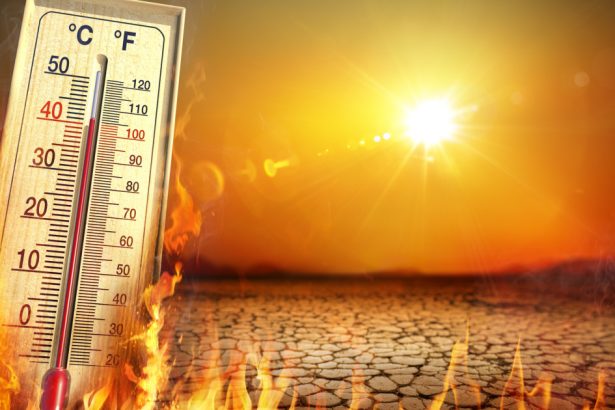 raport temperaturile pe glob se vor mentine la niveluri record in urmatorii cinci ani stiinta este fara echivoc 6836a0cb37ced