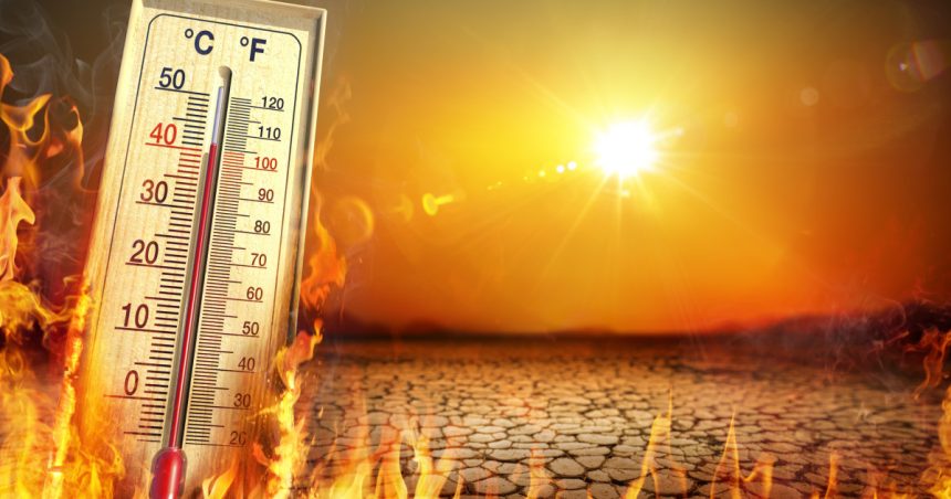 raport temperaturile pe glob se vor mentine la niveluri record in urmatorii cinci ani stiinta este fara echivoc 6836a0cb37ced