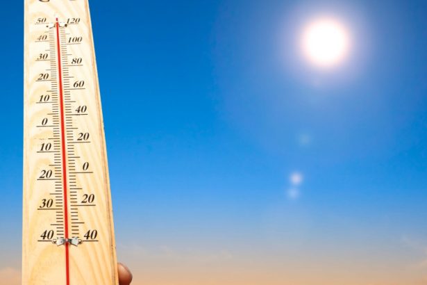 record de temperatura in 2025 tara unde termometrele au inregistrat 49 de grade celsius 682f2f19aa667