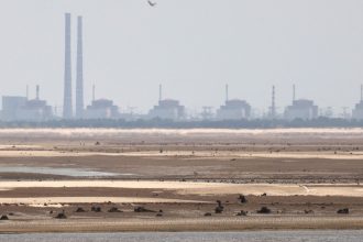 rusia construieste linii de inalta tensiune pentru a conecta centrala nucleara de la zaporojie la reteaua sa 68361e7ad64ad