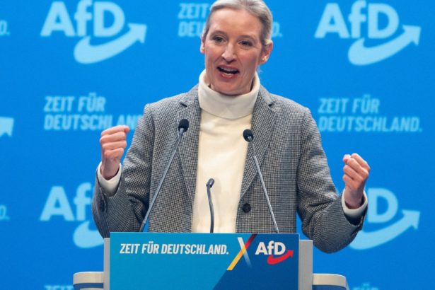serviciile germane au desemnat afd drept organizatie extremista ce urmeaza pentru partid 68149eb28b3f6