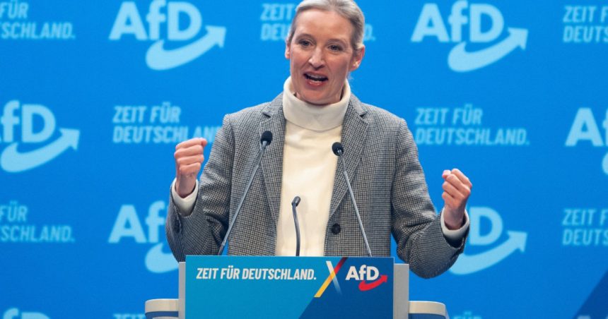 serviciile germane au desemnat afd drept organizatie extremista ce urmeaza pentru partid 68149eb28b3f6