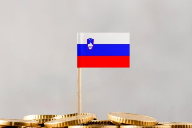 slovenia va introduce in constitutie dreptul de a utiliza numerar 6830c6e79588a