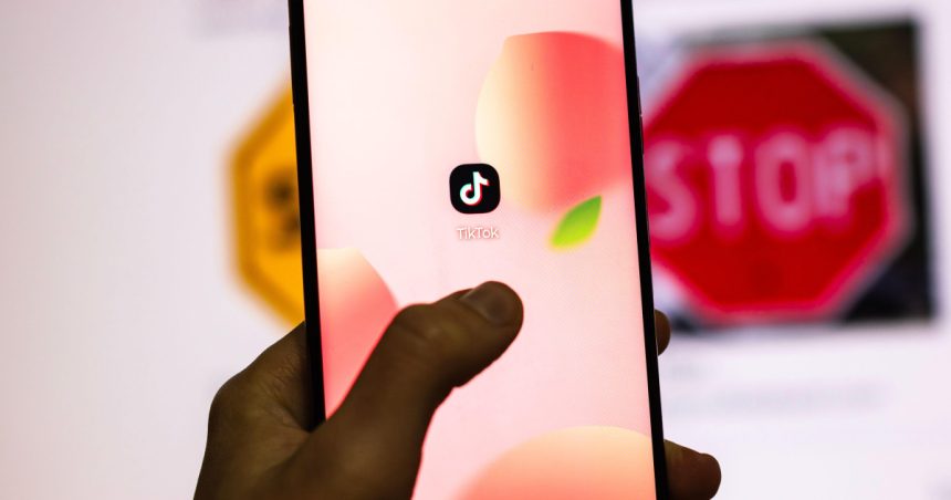 ue acuza tiktok de incalcarea legislatiei privind publicitatea online 6825efe65482b