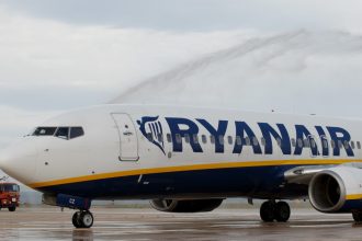 un avion a facut o aterizare de urgenta in franta dupa ce o femeie a nascut la bord 68231bacb8c8f