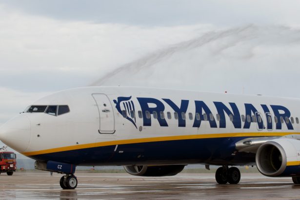 un avion a facut o aterizare de urgenta in franta dupa ce o femeie a nascut la bord 68231bacb8c8f
