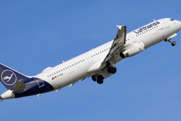 un avion lufthansa a zburat fara pilot dupa ce comandatul a fost blocat in afara cockpitului iar copilotul a lesinat raport oficial 682af7cab6fdc