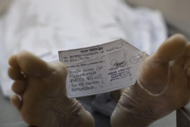 un fost director al morgii harvard a pledat vinovat pentru trafic cu parti din cadavrele donate universitatii 683575bb27322