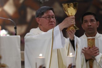 un nou favorit pentru succesiunea la vatican dat de casa britanica de pariuri william hill ar fi primul papa asiatic din istorie 681798678b82e