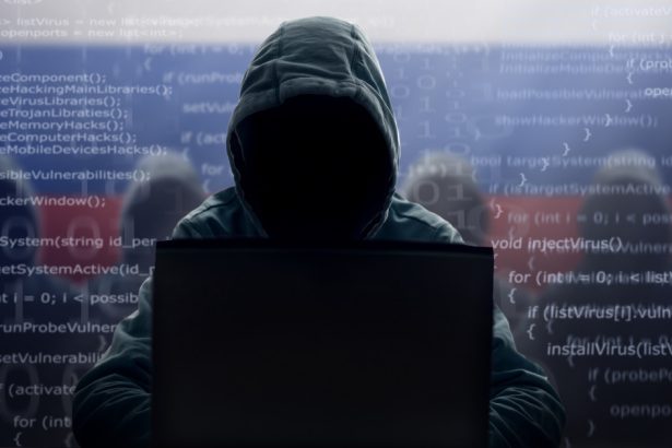 un rus care a condus un grup de infractori cibernetici ce au infectat sute de mii de computere a fost pus sub acuzare in sua 68303213af98a