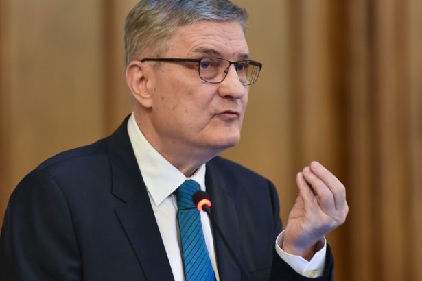 video avertisment de la daniel daianu orice guvern va veni la putere va fi unul fragil ce masuri urgente se impun 682198fd4cf0c