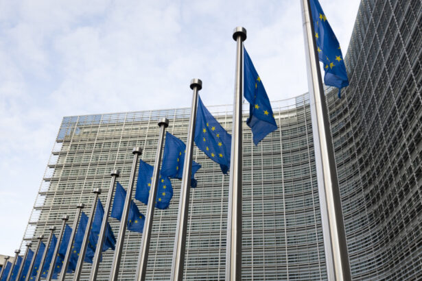 video avertismentul lui bolos comisia europeana ar putea sa nu fie de acord cu taierea cheltuielilor ca solutie pentru reducerea deficitului 6839bb545f753