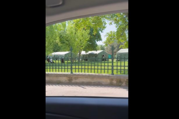 video dezinformare privind razboiul raspandita pe tiktok printr o inregistrare cu organizarea astrofest in bucuresti sunt baliverne 683079c985c0a