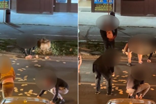 video incident neobisnuit in timisoara o femeie a aruncat 13 000 de euro in mijlocul strazii de ce a recurs la acest gest 6828e079a9930