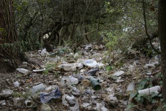 video padure transformata in groapa de gunoi la marginea unui drum national primar e regretabil dar imposibil de gestionat 681f2c17e38ac